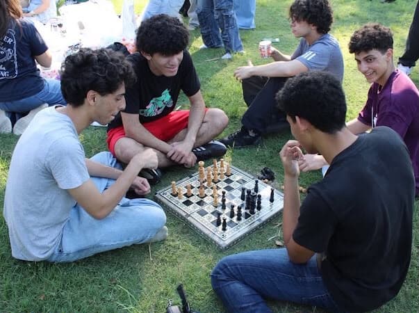 Members playing chess on the grass